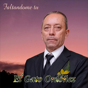 Faltandome tu