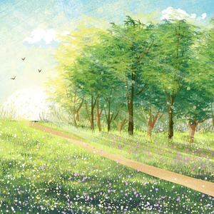 清晨阳光 (治愈钢琴曲)