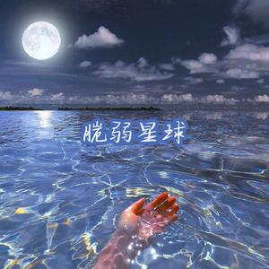 脆弱星球（抖音男版）（翻自 杨胖雨）