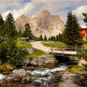 Farm sunrise ambience in Wellington