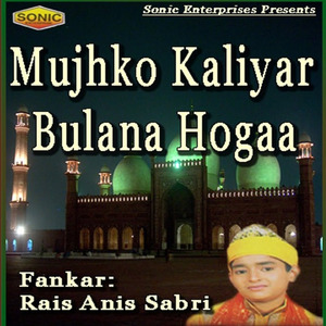 Sabir Ji Hum Aaye Hain Tumhare