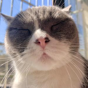 孤岛星愿（cover陈子晴）