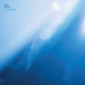 Acceptance (2023 Remastered Version)