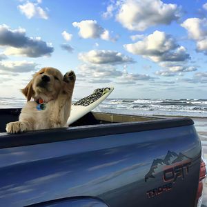 12月10日 下午2点52分