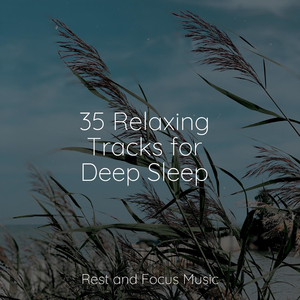 Dusk in the Distance