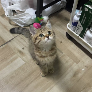 那个好久不见的你