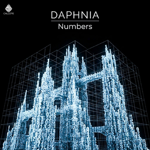 Numbers