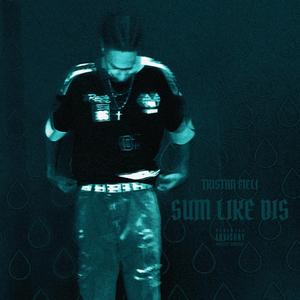 Sum Like Dis (feat. Mk Skies & SwitchItUpExe)