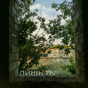 Лишь ты