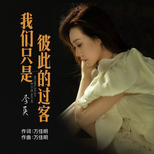 我们只是彼此的过客