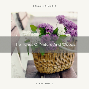 Birds Sounds For Relax Composed By Nature