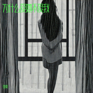 为什么爱她不爱我 (DJ默涵版)