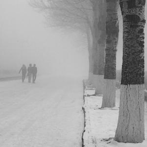 生命中最美丽的一天