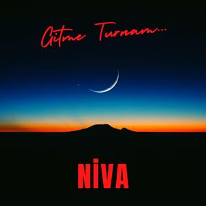 Gitme Turnam Vuracaklar