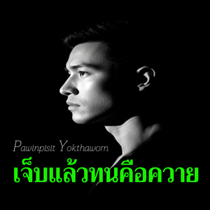 เจ็บแล้วทนคือควาย