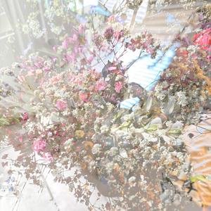 Ela (seq 2 clipped wave)