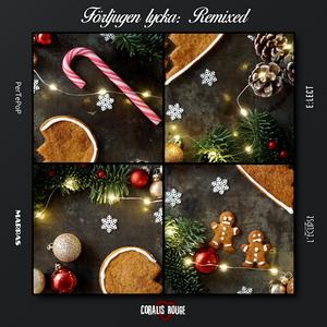 Förljugen lycka (Marras Remix)