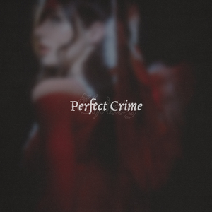 Perfect Crime