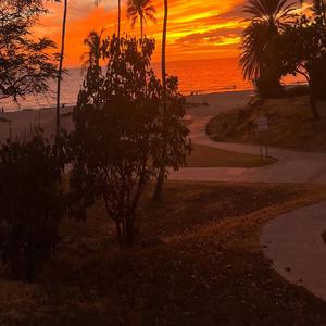 Babylon girl (feat. Tavo)