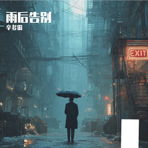 雨后告别