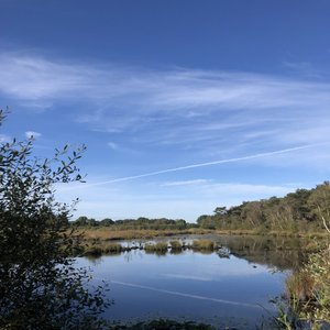 Popke (Instrumental Piano)