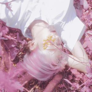 Brayan Diaz-Baby I'm Sorry.m4a（张小源Coca / V也 remix）