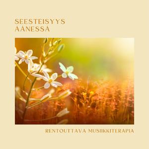 Lempeät valtameren aallot