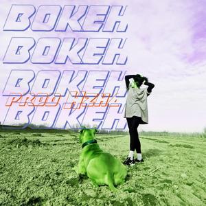 BOKEH