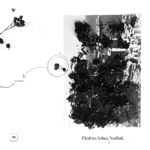 Land Of Sin (Original track)