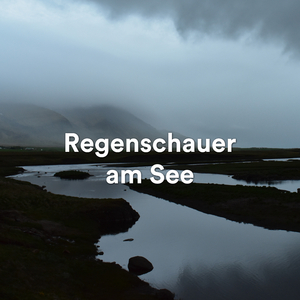 Petrichor: Der Duft des Regens auf Asphalt