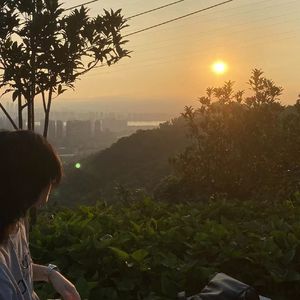 初新(Pord by MEGA)