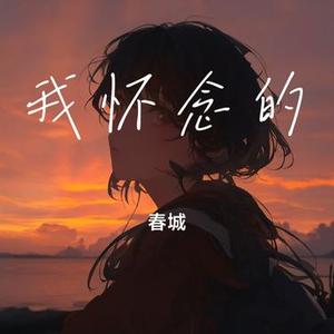 我怀念的