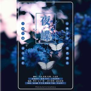 夜蝶（自录和声伴奏）