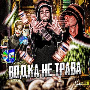 ВОДКА НЕ ТРАВА (feat. DUNAJJJ)