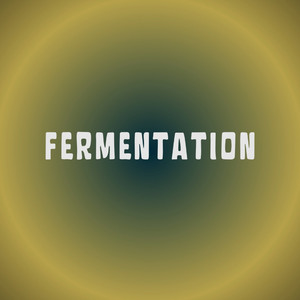 Fermentation