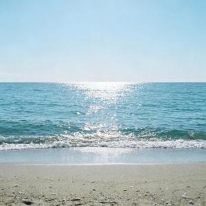 鹿鸣呦呦  (失约的爱 Remix)