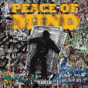 Peace of mind (feat. 4evapaidO)