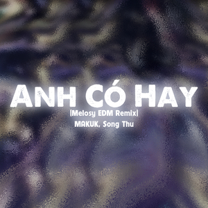 Anh Có Hay (Melosy EDM Remix)