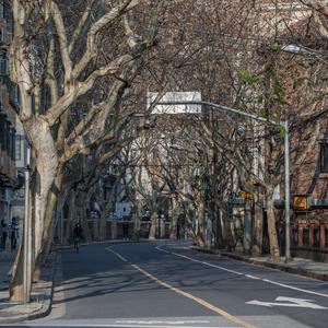 声声慢（翻自 张一山）