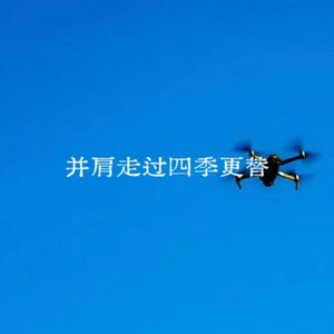 曾并肩走过四季更替