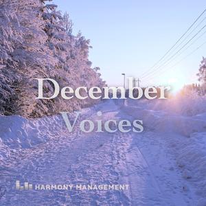 Midnight in December