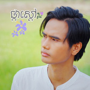 ផ្កាស្តៅ