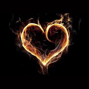 I Don't Wanna Fall In Love