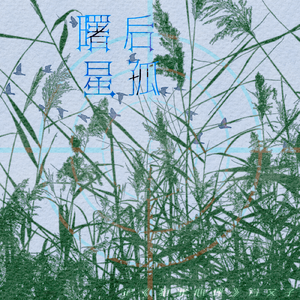 曙后星孤——记《犯罪心理》方艾子