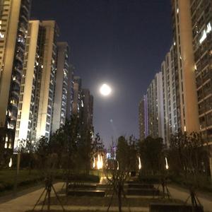 我的乐曲