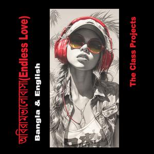 অবিরাম ভালোবাসা (Endless Love)