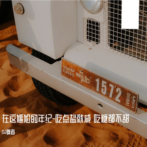 吃糖也不甜的年纪