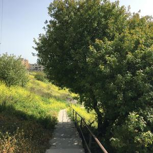 Im Eshkachekh | אִם אֶשְׁכָּחֵךְ