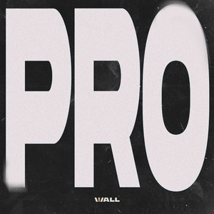 PRO