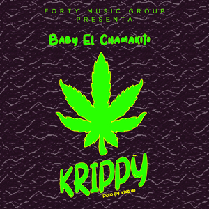 Baby El Chamakito (Krippy)